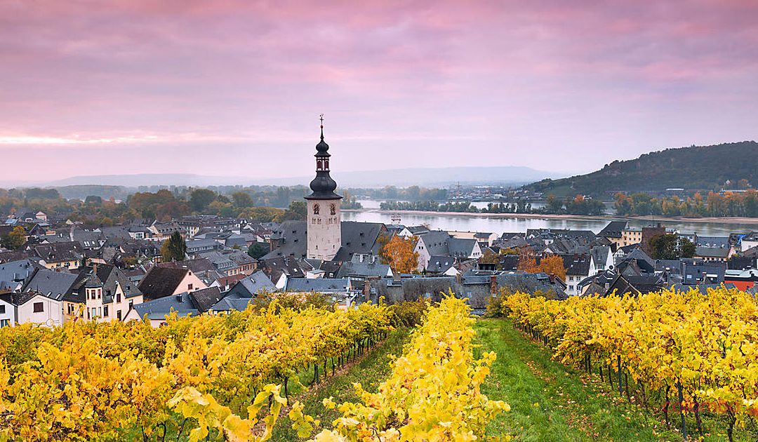 Rüdesheim Rhinen