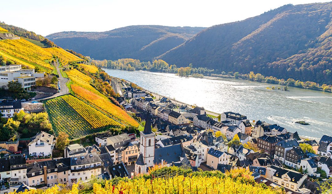 Assmannshausen Rhinen
